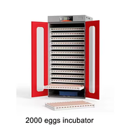 Hhd vente directe exclusive 12v Dc 2000 oeufs incubateur solaire automatique automatique oiseau poule