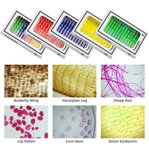 Portaobjetos de bioplástico para observar microorganismos: 48 tipos de muestras microscópicas para estudiantes de primaria. - Product Image 4