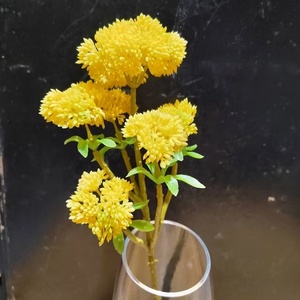 Plantas suculentas artificiales <span class=keywords><strong>de</strong></span> <span class=keywords><strong>plástico</strong></span> realista, decoración <span class=keywords><strong>de</strong></span> interiores, <span class=keywords><strong>flores</strong></span> artificiales - Product Image 4