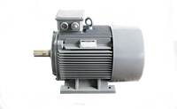 Moteur asynchrone triphasé haute efficacité IE3 YE3-200L2-2P 37KW 380V 67.4A
