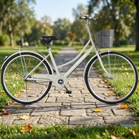 Vélo de ville pour trajets urbains, 24 pouces, simple vitesse, cadre en acier haute teneur en carbone avec panier, pneus antidérapants, vélo de ville sur route