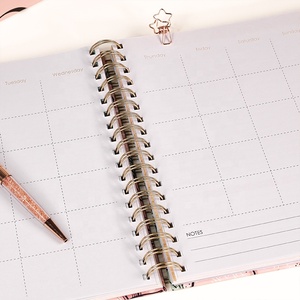 Tùy Chỉnh B5 Xoắn Ốc Ràng Buộc Kế Hoạch Màu In Giấy Bìa Cứng Vàng Đôi Cuộn Dây Tab Ngăn Ngân Sách Tạp Chí Máy Tính Xách Tay - Product Image 4