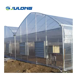 Greenhouse Supplier Hydroponic Multi Span Greenhouse Smart Farm For Tomato Strawberry