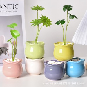 Mini Glazed Ceramic Succulent Planter Set Cute <strong>Cactus</strong> <strong>Pot</strong> <strong>for</strong> Indoor Desktop Home Decor - Product Image 4