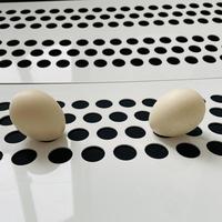Systèmes de cages d'élevage multi-niveaux en PP poreux ventilé avec tapis roulant pour œufs, récupération automatique douce des œufs et démontage facile