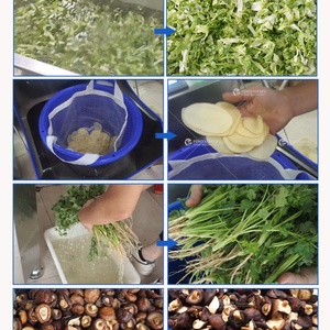 Máquina Procesadora de Frutas y Verduras, Línea de Lavado y Secado de Lechuga para Plantas de Procesamiento de Vegetales a Gran Escala - Product Image 5