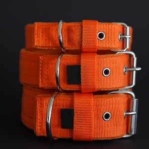 OEM <span class=keywords><strong>2</strong></span> pulgadas táctico perro <span class=keywords><strong>Collar</strong></span> acolchado <span class=keywords><strong>Martingale</strong></span> media Correa galgo collares Material de nailon remache personalizable impresión <span class=keywords><strong>Collar</strong></span> para mascotas - Product Image 2