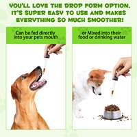 Complément alimentaire liquide probiotique naturel 3 en 1 pour chiens, marque privée, avec enzymes digestives