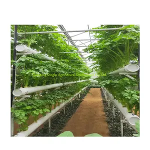 Good Quality Smart Farm 100X100mm hydroponic and Nft channel equipment for growing lettuce