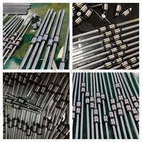 Eje estriado de alta precisión China Spline SLF016 SLF020 SLF025 SLF030 SLT016 SLT020 SLT025 SLT030 Ball Spline para robot