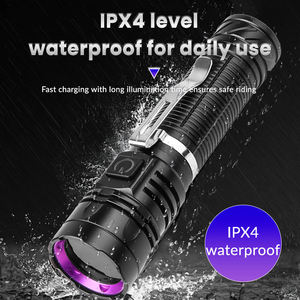 Mini Clip portátil, luz púrpura, linterna LED 365 UV, inspección <span class=keywords><strong>de</strong></span> joyas, aleación <span class=keywords><strong>de</strong></span> aluminio, carga tipo C, orina para mascotas, <span class=keywords><strong>gato</strong></span>, Tinea - Product Image 5