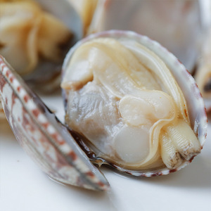 Almejas Bebé Manila Cocidas y Congeladas IQF para Platos de Mariscos al Estilo Japonés y Suministro a Granel para Restaurantes - Product Image 3