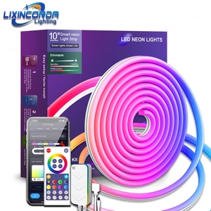 Kit de Tira de <span class=keywords><strong>Luz</strong></span> <span class=keywords><strong>LED</strong></span> <span class=keywords><strong>Flexible</strong></span> Digital Inteligente RGBIC de 5m, 8x17mm, Luces de Tira, 12v 24v, Silicona, RGB, Luces de Cuerda de Neón <span class=keywords><strong>LED</strong></span> Flexibles - Product Image 1