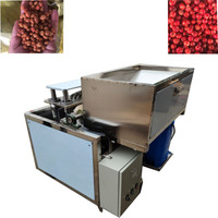 Machine électrique industrielle IQF pour l'élimination des noyaux de cerises, d'abricots, de dattes et de prunes, pour fruits surgelés