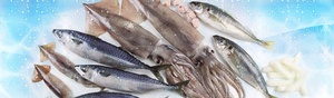Camarones Congelados 200-250g, Pesca Salvaje <span class=keywords><strong>de</strong></span> Aguas Profundas, Nutrición Completa, <span class=keywords><strong>Mariscos</strong></span> - Product Image 4