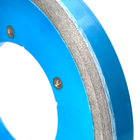 Disques abrasifs diamantés 300 mm pour meuleuse, à liant métallique, pour ponceuse, ébavurage et égalisation de la porcelaine, à usage humide, OEM, meules électriques