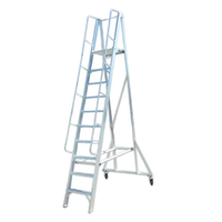 Échelle mobile multifonctionnelle avec plateforme de travail, passerelle industrielle, escalier en acier, design moderne pour usage en entrepôt