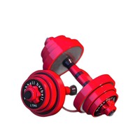 Kit d'entraînement à domicile pour hommes : haltères, barre de musculation, kettlebell, kit à poids réglable pour dortoirs, équipement gainé de fer pour le remodelage corporel