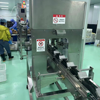 Automatische machine voor het snijden, schillen en verwerken van ananas (kop en staart), machine voor de verwerking van fruit en groenten