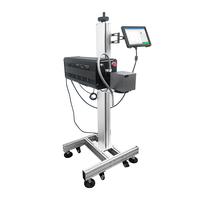 Machine de marquage laser volante Willita Co2 30W 60W imprimante laser de date d'expiration d'étiquette de bouteille en plastique pour ligne de production