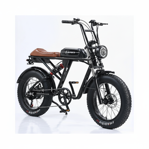 Triciclo Eléctrico sin Escobillas de 600W, Scooter para Personas Mayores, Asiento Doble, 3 Ruedas, Motor en el Buje Trasero, Marco de Acero, Una Velocidad, 48V - Product Image 1