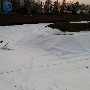 Polypropylène pp Pet Tissu Non Tissé <span class=keywords><strong>Géotextile</strong></span> Polyester Filtre pour L'aménagement Paysager - Product Image 2