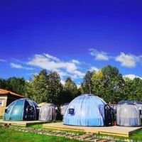 Dôme igloo vert Full House pour glamping, chambre d'hébergement avec matériau PC imperméable pour usage extérieur