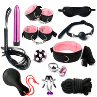 Ensemble de 12 attaches SM imperméables de haute qualité pour femmes avec plug anal et pinces à tétons - Kit de jouets sexuels pour adultes