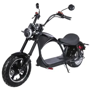 Best in Europe citycoco fashion moped scooter electric motorcycle EEC E-mark certificate