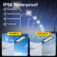 Lampu Jalan LED Ekonomis untuk Luar Ruangan IP66 dengan Lensa SMD, Housing Aluminium 20W~300W, Harga Lampu Jalan LED