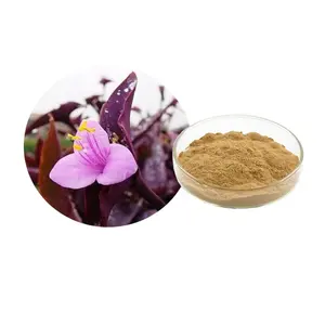 Phổ biến dayflower chiết xuất thảo mộc bột 20:1