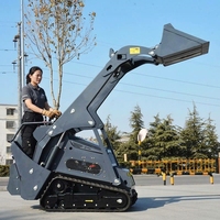 Mini-chargeuse sur chenilles diesel EPA avec moteur et pompe, puissance de 17,2 kW pour la maison, le jardin et la ferme