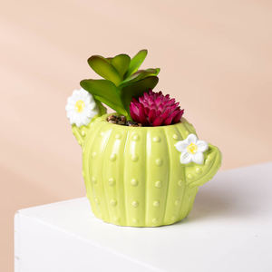 Plantes succulentes en forme de cactus de dessin animé, mini-pots en céramique, petits pots à bonsaï, plantes artificielles, succulentes, macetas, pots à fleurs - Product Image 4