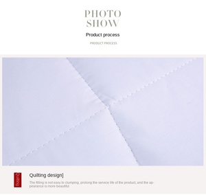 Profession elles, verdicktes Vier-Jahreszeiten-Quiltkern-Bettdecken-<span class=keywords><strong>Patchwork</strong></span>-Muster für den Heimgebrauch aus Polyester - Product Image 5