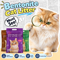 Litière agglomérante pour chat à base de bentonite, faible dispersion, granulés sphériques, approuvée ISO, éliminateur d'odeurs, sable