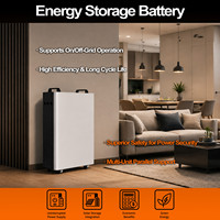 Batterie LiFePO4 sur pied 16 kWh CAN, directement de l'usine, pour stockage solaire domestique et système de secours UPS commercial de petite taille