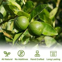 Tranches de citron vert déshydratées en gros pour cocktails, thé aux fruits naturel, tranches de citron vert lyophilisées pour thé mélangé