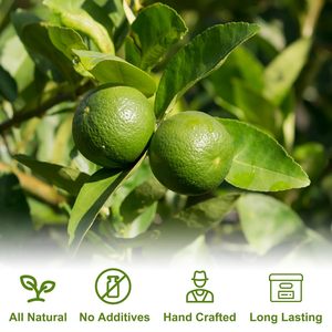 Tranches de citron vert déshydratées en gros pour cocktails, thé aux fruits naturel, tranches de citron vert lyophilisées pour thé mélangé - Product Image 5