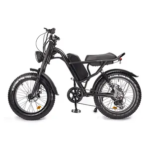 Best selling EU Z8 48V 500W bicicleta elétrica de 7 velocidades com motor traseiro