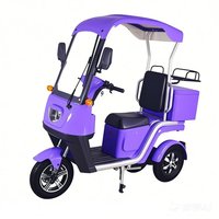 Nouveau design de chariots de service de livraison électriques véhicules tricycle à coffre ouvert 60v plage étendue vitesse certifié CEE fret logistique