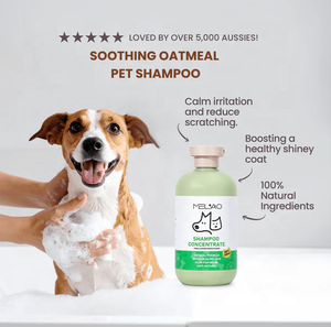 Champú Orgánico Ecológico y Seguro para Mascotas con Avena, Alivio para <span class=keywords><strong>la</strong></span> Piel con Picazón, Hidratante para Perros y Gatos, Gel de Ducha, Cuidado Profesional para Mascotas - Product Image 2