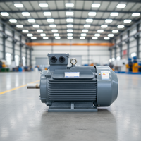 Moteur électrique triphasé AC/DC Schorch ATB VEM Hoyer Marathon LENZE à induction, garantie mondiale, 18,5 kW, 22 kW, 30 kW, 37 kW, 50 kW