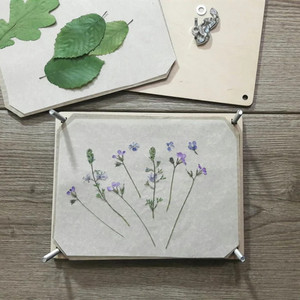 Flores secas, <span class=keywords><strong>hojas</strong></span> de otoño, plantas de conservación y flores, kit de prensa de flores de madera para regalo del Día de la madre - Product Image 6