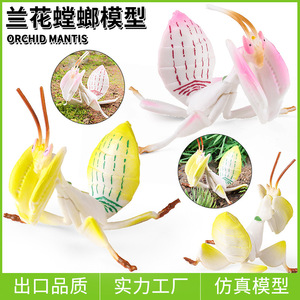 Modèle de jouet d'insecte arthropode simulé pour enfants yxs, Mantis <span class=keywords><strong>orchidée</strong></span>, Mantis couteau, Feuille morte, pièce d'exposition cognitive - Product Image 1