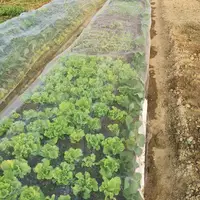 60メッシュ幅1m〜30m農業温室保護プラスチック昆虫メッシュネット庭野菜防虫ネット
