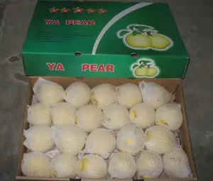 Chinese Fresh Yellow Ya Pear New Crop Sweet Pear