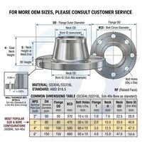Flens Leher Las Datar Baja Tahan Karat 304L Kelas 150 ASME B16.5 4-lubang 10mm Permukaan Dicat Merek JIEYUE untuk Kebutuhan Kota