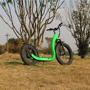 Abd ücretsiz kargo 2 tekerlekli büyük yağ lastik çin üretimi elektrikli kaykay stand up elektrikli scooter kickbike