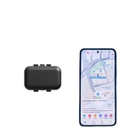 Mini traceur GPS pour animaux de compagnie HST C059 avec suivi en temps réel 2G/4G LTE cellulaire étanche via Beidou et compatible PC