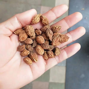 Yi zhi famoso tempero medicina tradicional comestível Alpinia oxyphylla sementes para venda - Product Image 2